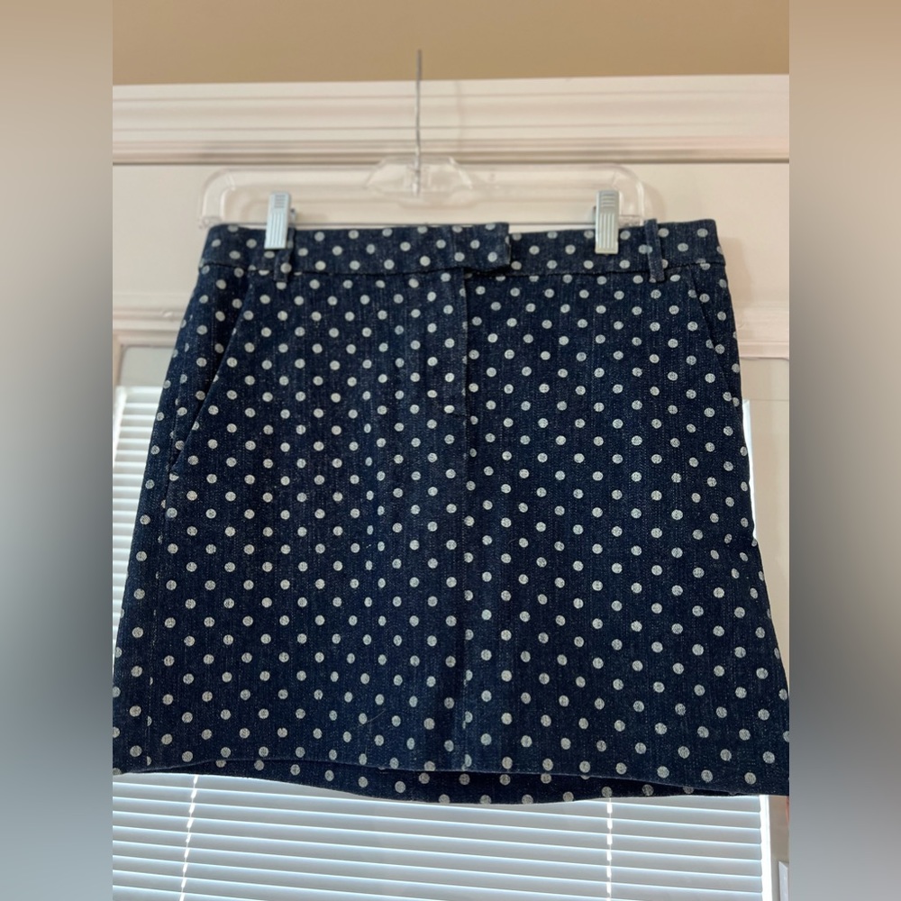 JCREW Skirt